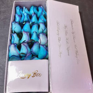 لاکچری باکس کتابی