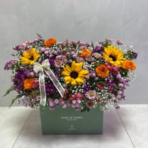 فشن باکس مستطیل