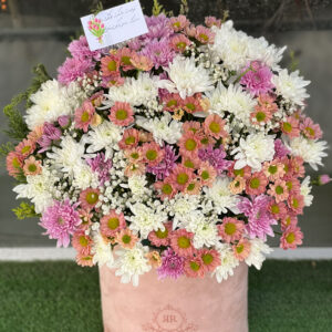 مخمل باکس استوانه‌ای