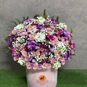 مخمل باکس استوانه‌ای