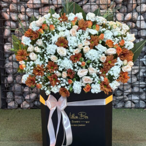 میلیون باکس لوزی