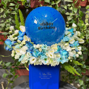 میلیون باکس لوزی تولد